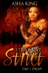 StrayCatStrut-Kindle